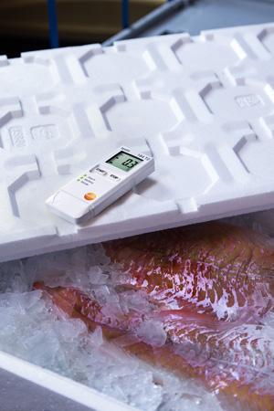 Testo 184-T2 temp.datalog. USB