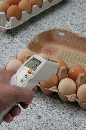 Testo 831 + T106-T1 fødevaretermometer